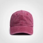 Camper-Raspberry-Foc