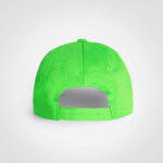 Promo-6-Panel-Lime-Boc